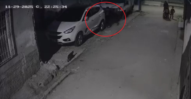 He hit the child's head against the car and threw him to the ground! Look who brought terror to the little child