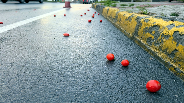 The elderly man hit by the car flipped in the air and was thrown 24 meters