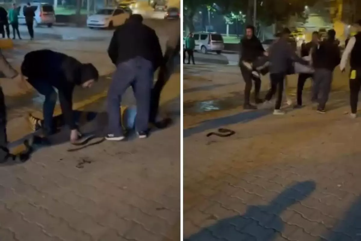 Taş, sopa ve bıçaklar kullanıldı! İki grup arasında kavga