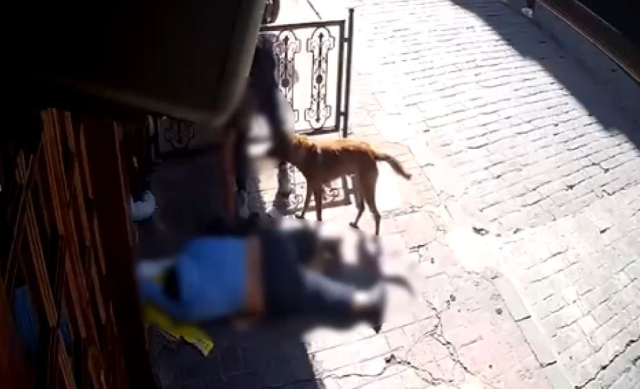 sara nobeti gecirip bayilan adamin ustundeki 19308797 5764 m