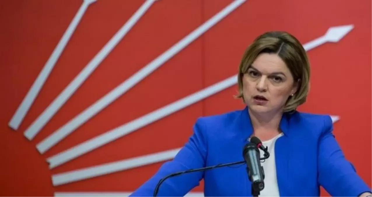 Selin Sayek Böke kimdir? Selin Sayek Böke kaç yaşında, nereli, eşi kim?