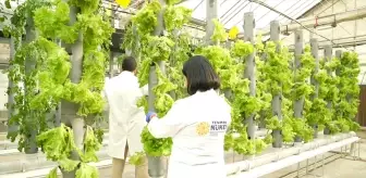 TENMAK'tan İklim Değişikliğine Uygun Yeni Tarım Çalışmaları