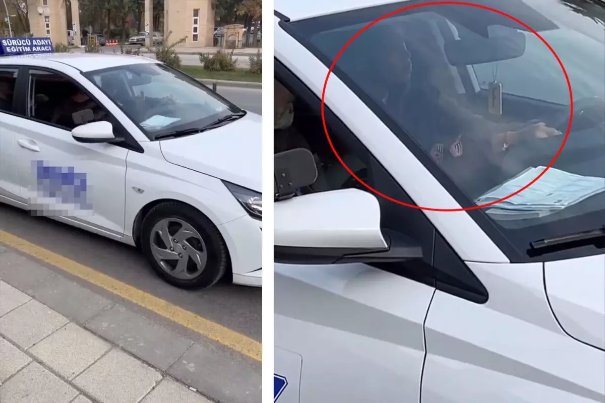 Ünlü İsim, ehliyet sınavı için İstanbul'dan Malatya'ya 1100 km yol gitti