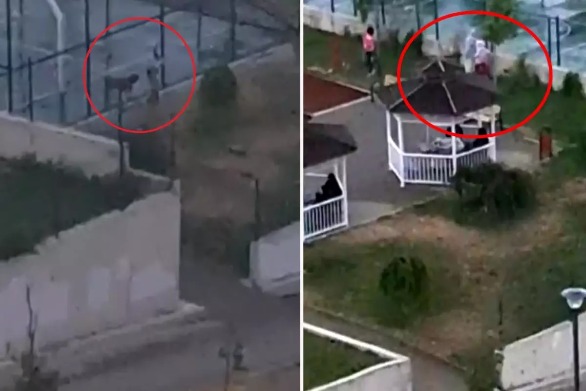 2 kardeşe saldıran pitbulun sahibi tutuklandı! Köpeği tasmasız gezdirdiği anlar kamerada
