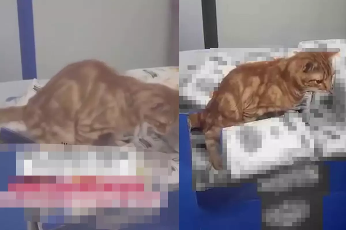 3 harfli zincir markette büyük rezillik! Görenin midesi bulandı