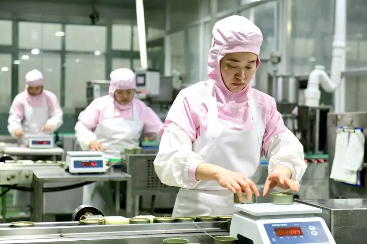 Caoxian İli, Evcil Hayvan Ekonomisinde Küresel Merkez Olma Hedefinde İlerliyor