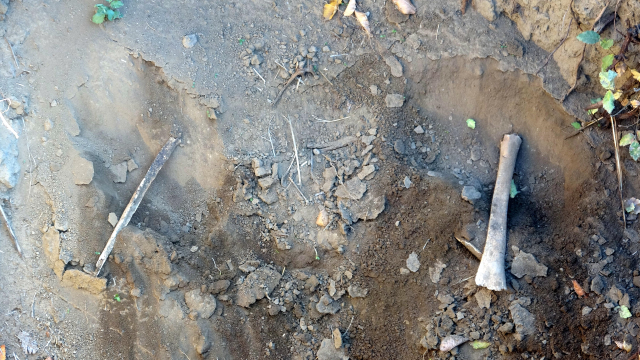 They dug up 600-year-old graves to find gold and unearthed bones