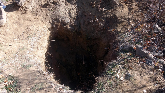 They unearthed bones from the historic cemetery they dug for gold