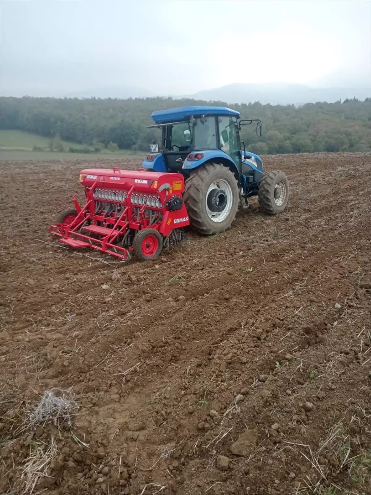 Altın Daneler Projesi ile Yerli Buğday Yaygınlaştırılıyor