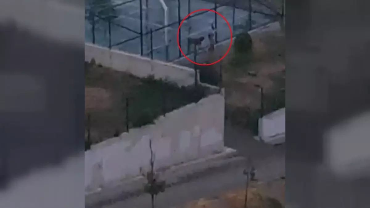 Köpeği Sitesinde Tasmasız Gezdiren Tuğçe Özbek Erol'un Görüntüleri Ortaya Çıktı