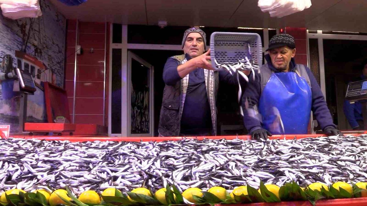 Bolu'da Hamsi Yoğun İlgi Görüyor, Fiyatı 150 Lira