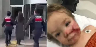 İki küçük çocuğa dehşeti yaşatan pitbull cinsi köpeğin sahibi tutuklandı