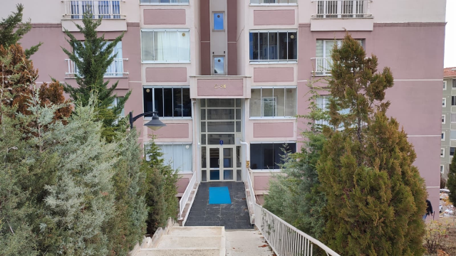 The owner of the pitbull that terrorized two small children has been arrested