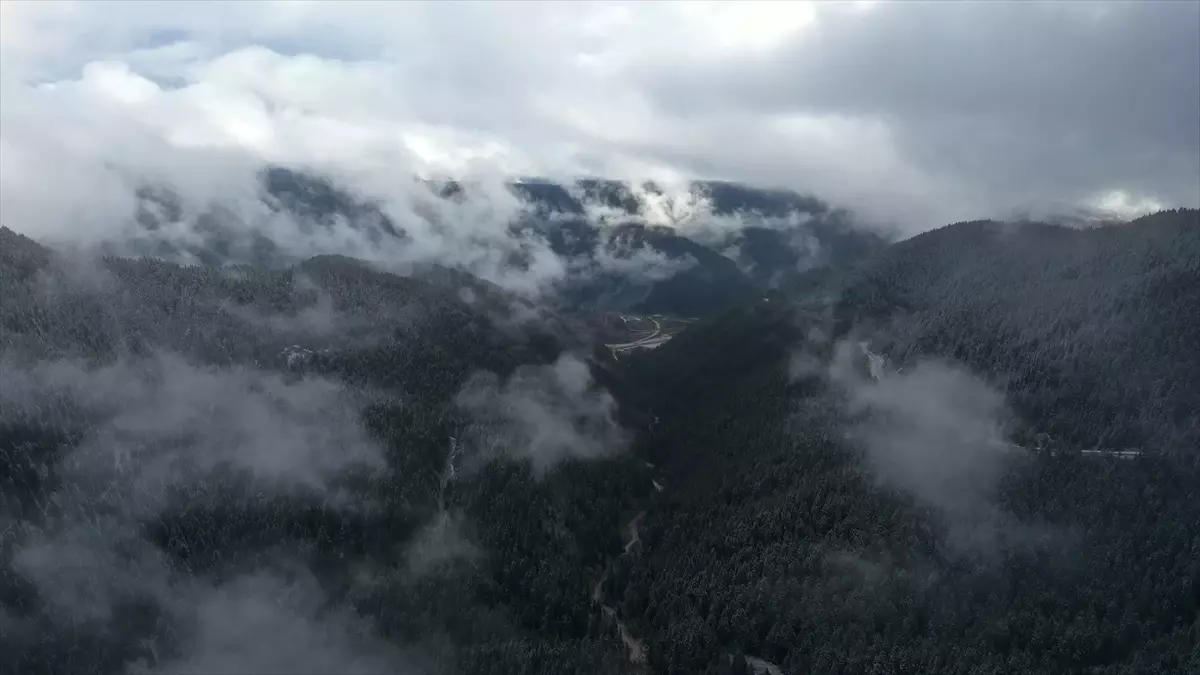 Ilgaz Dağı'nda Kar ve Sis Manzarası