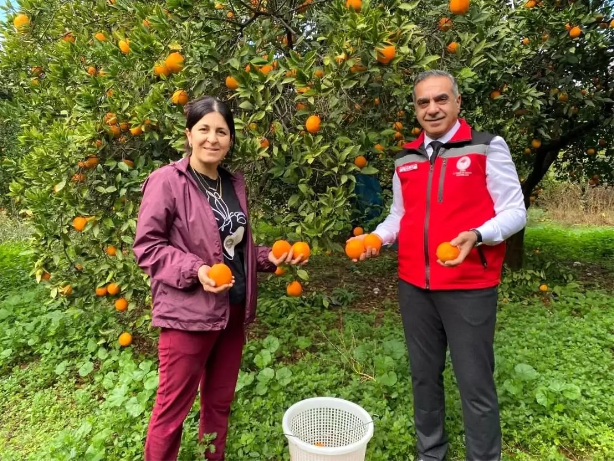 Kuyucak'ta Portakal Hasadı ve EKÜY Belgeleri Takdim Edildi