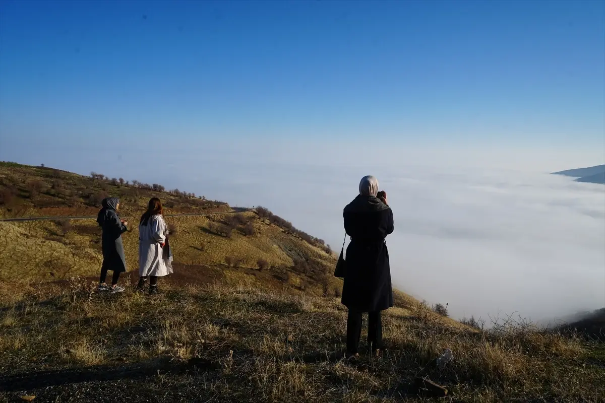 Muş'ta Görüş Mesafesini Düşüren Yoğun Sis