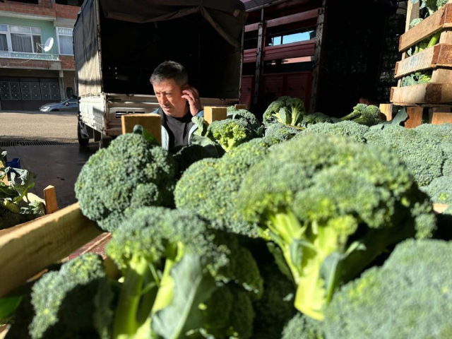 The citizen is troubled! Broccoli sold for 10 lira in the field reaches 70 lira in the city center