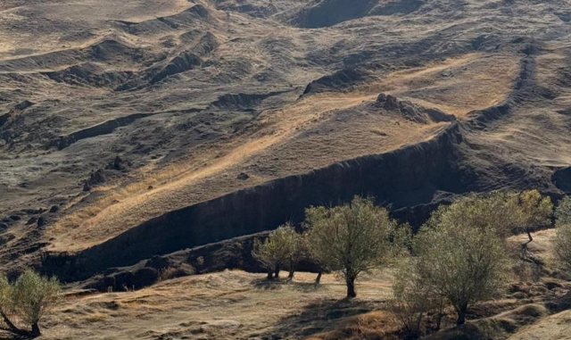 Captain discovered it from the plane! Professor warned: The removal must be stopped immediately