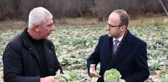 Alucra Kaymakamı'ndan Pancar Üreticilerine Destek Ziyareti