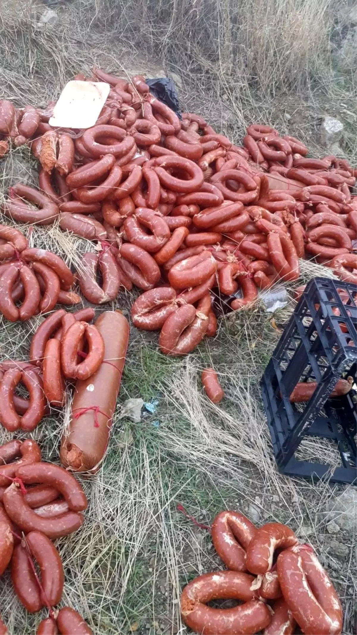 Ankara'da yüzlerce kilo et ürünü boş araziye atıldı