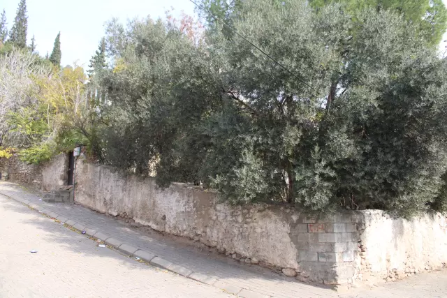 The grave of Aydın's 'Beybaba' was revealed after 105 years