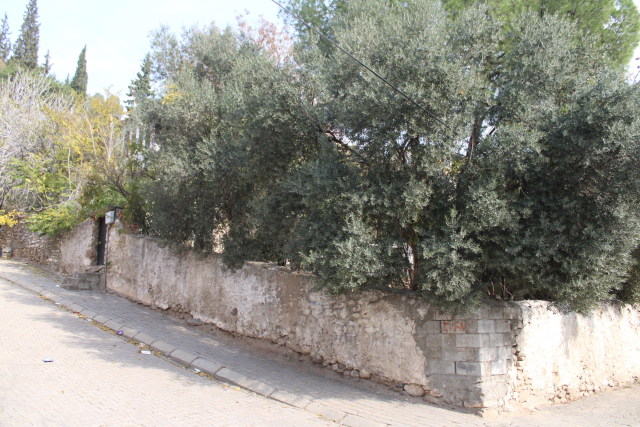 The grave of Aydın's 'Beybaba' has been revealed after 105 years