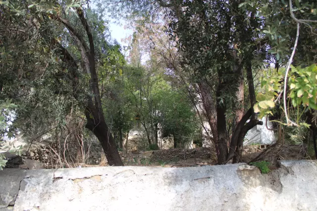 The grave of Aydın's 'Beybaba' was revealed after 105 years