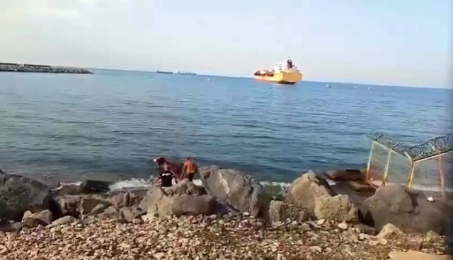 Caught in fishing net shocked! Escaped from the ship and swam to shore