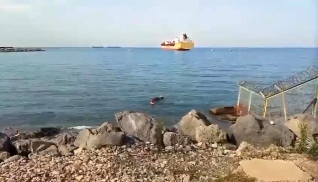 Caught in fishing net shocked! Escaped from the ship and swam to shore