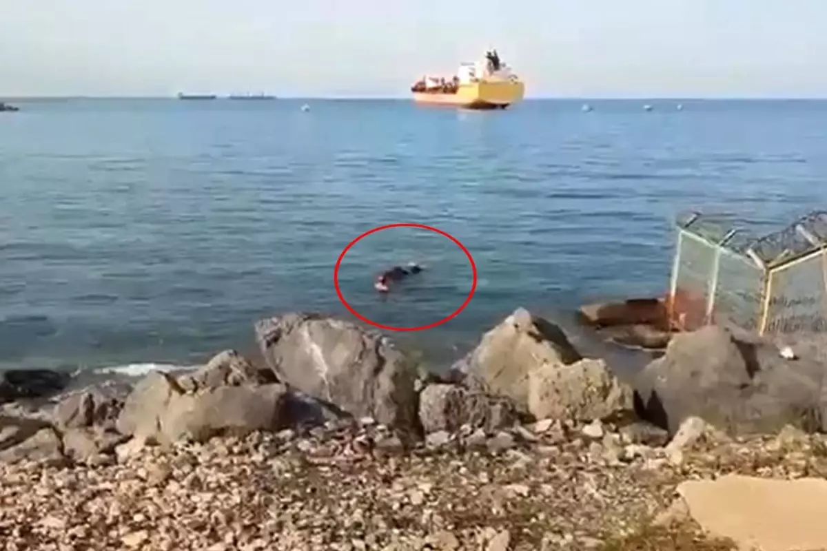 Balıkçı ağına takıldı, gören şok oldu! Gemiden atlayıp kaçmış