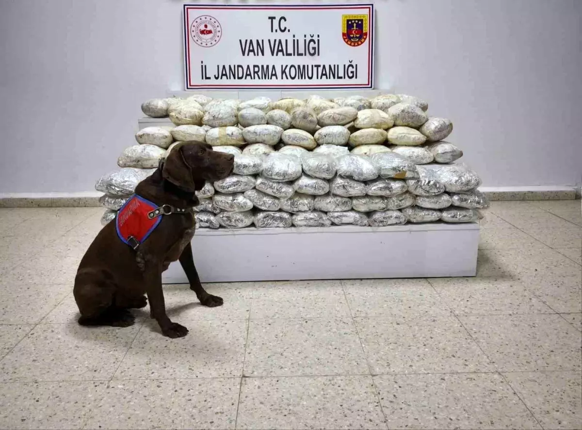 Başkale'de 60 kilo uyuşturucu ele geçirildi