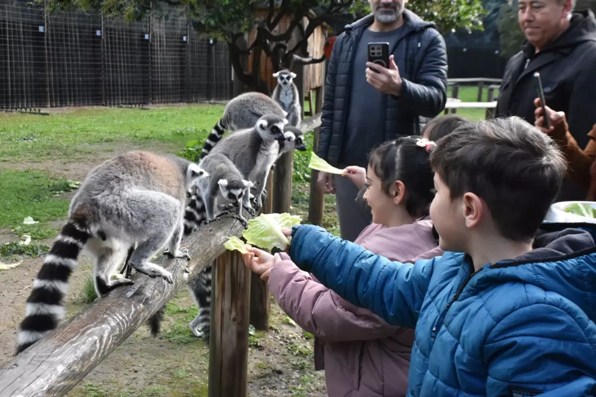 Engelli Çocuklar Doğal Hayat Parkı'nda Lemurlarla Buluştu
