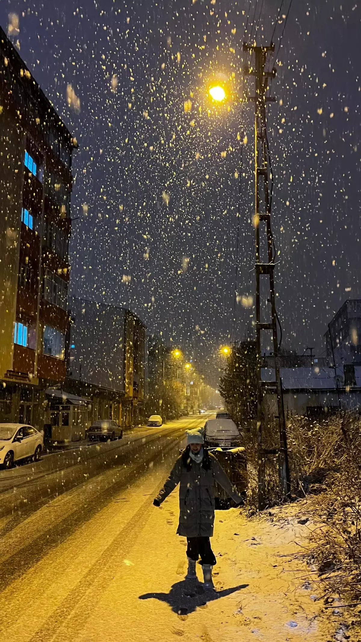Erzurum, Ardahan ve Kars'ta İlk Kar Yağışı Etkili Oldu