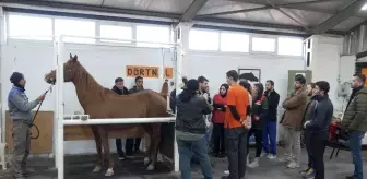 Eskişehir'de Kısraklarda Suni Tohumlama Eğitimi Düzenlendi