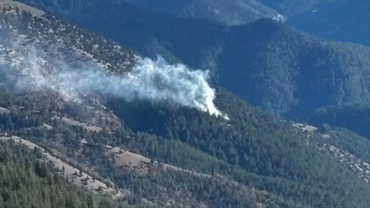 Feke'de çıkan orman yangını kontrol altına alındı