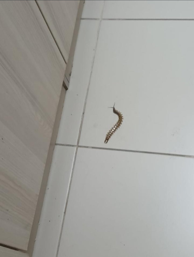 The images allegedly taken in the girls' dormitory are alarming