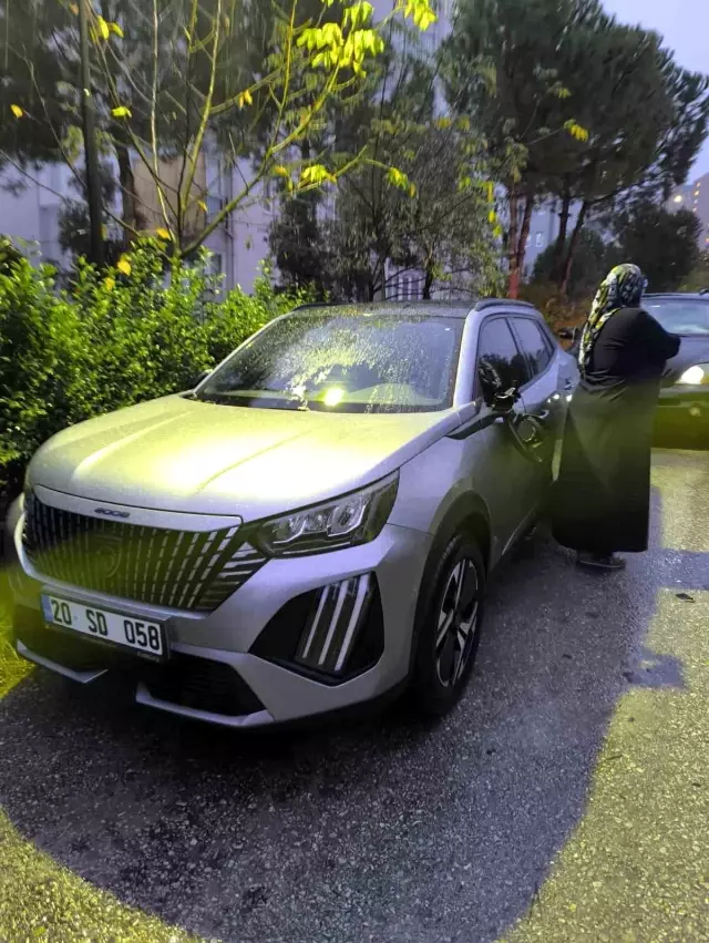 The lawyer terrorized the site! 40 vehicles were damaged