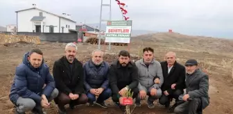 Sivas'ta şehitlerin anısına fidan dikildi
