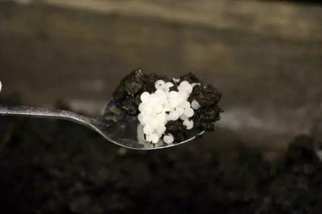 Valued at 150 thousand lira! The animal he discovered became a source of income