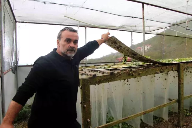 Valued at 150 thousand lira! The animal he discovered became a source of income