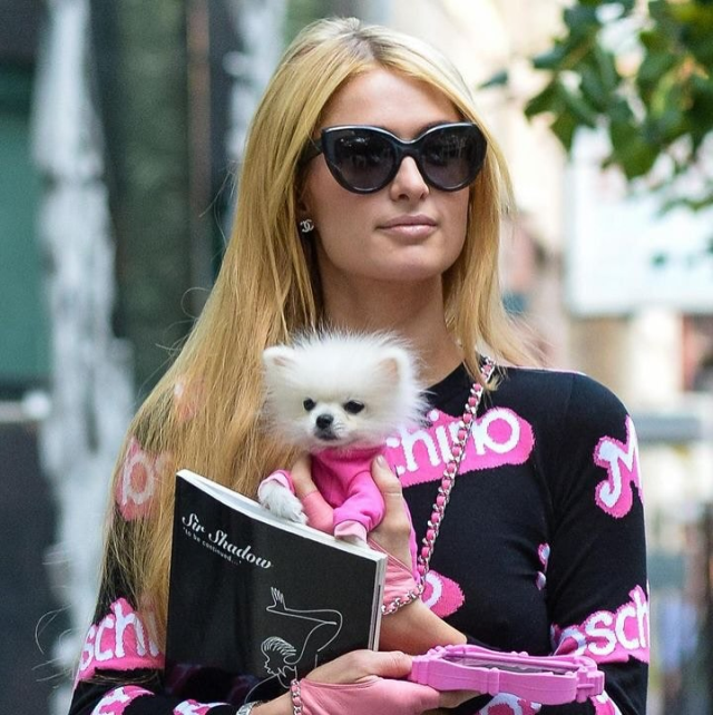 The trend of pet cloning among celebrities is spreading