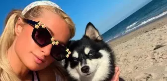 Ünlüler arasında evcil hayvan klonlama trendi yayılıyor