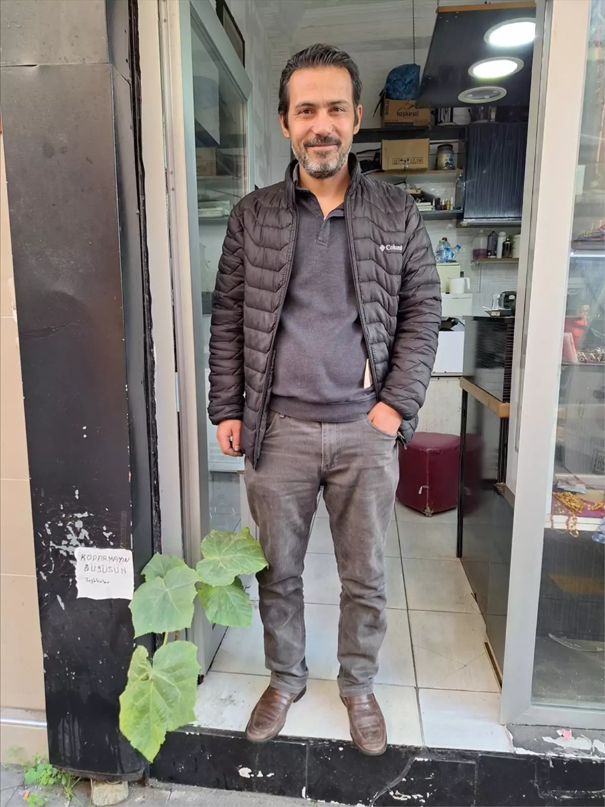 Zonguldak'ta esnaf iş yerindeki duvarın arasından çıkan fidanı büyütüyor