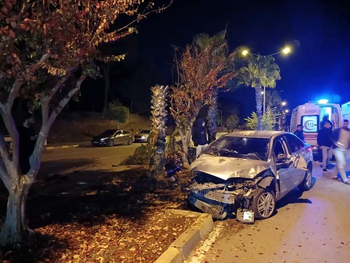 Antalya'da palmiyeye çarpan otomobilin sürücüsü yaralandı