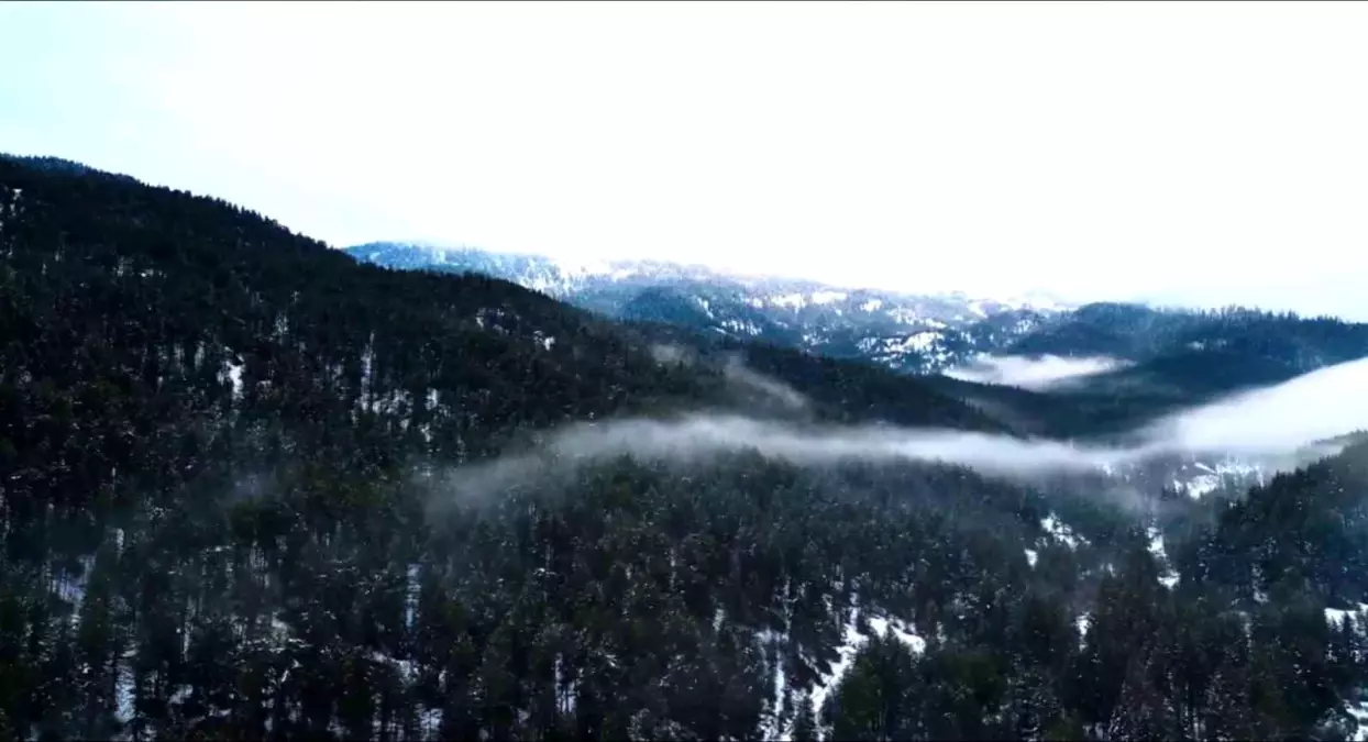 Beyaza bürünen Ilgaz Dağı havadan görüntülendi