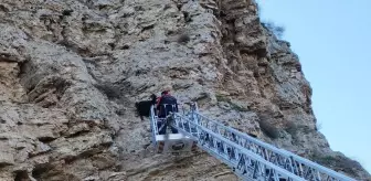 Çorum'da kayalıklarda mahsur kalan 4 keçiyi itfaiye kurtardı