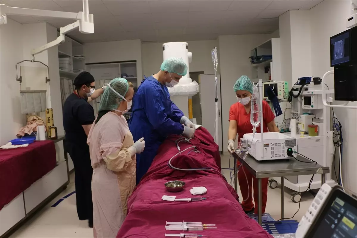 Eskişehir'de yabancı hekimlere girişimsel radyolojide kapalı yöntemle tedavi öğretildi