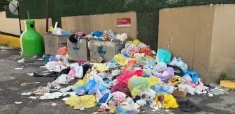 Maltepe'de 3 gündür toplanmayan çöplere vatandaşlar tepki gösterdi
