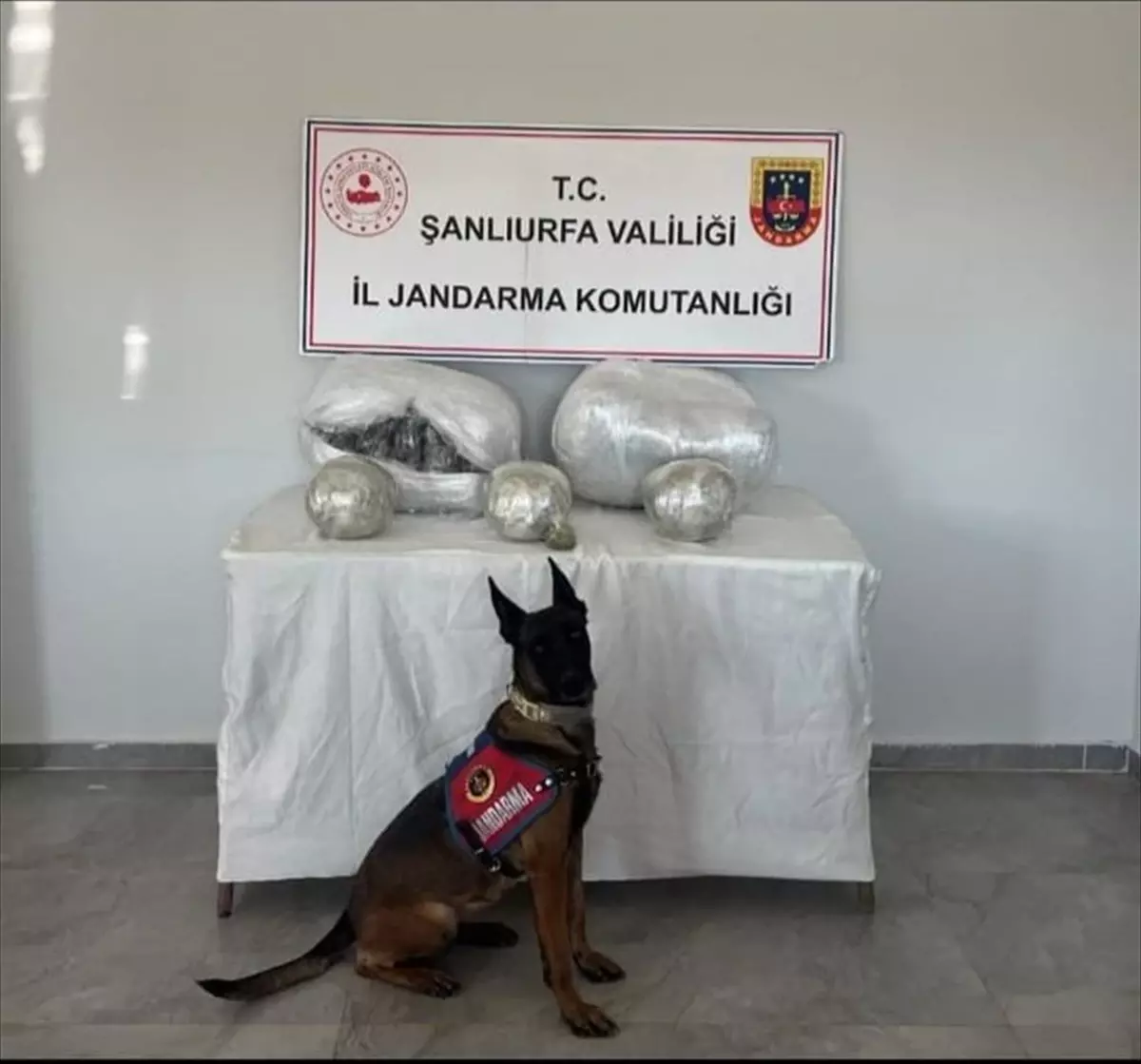 Şanlıurfa'da uyuşturucu operasyonunda 1 şüpheli yakalandı