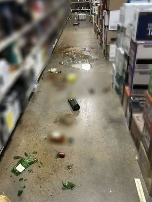 Jumped from the ceiling, raided the store! The drunk raccoon drank as much alcohol as it could